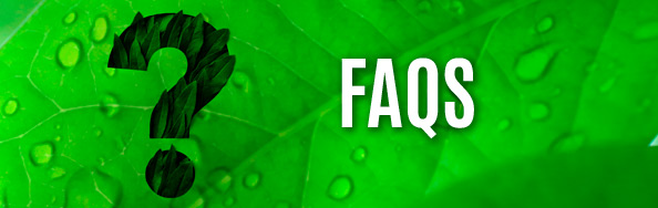 FAQS