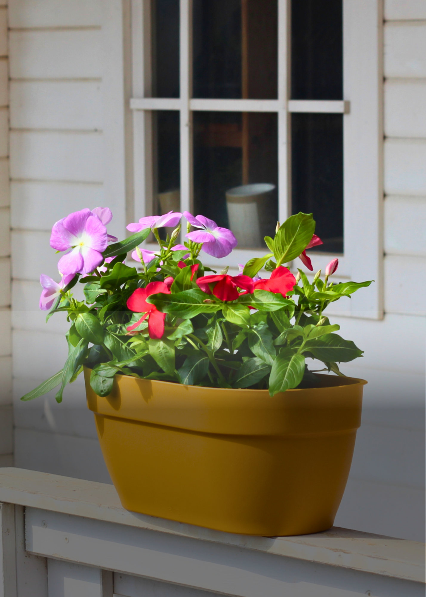 Accessoris per a plantes