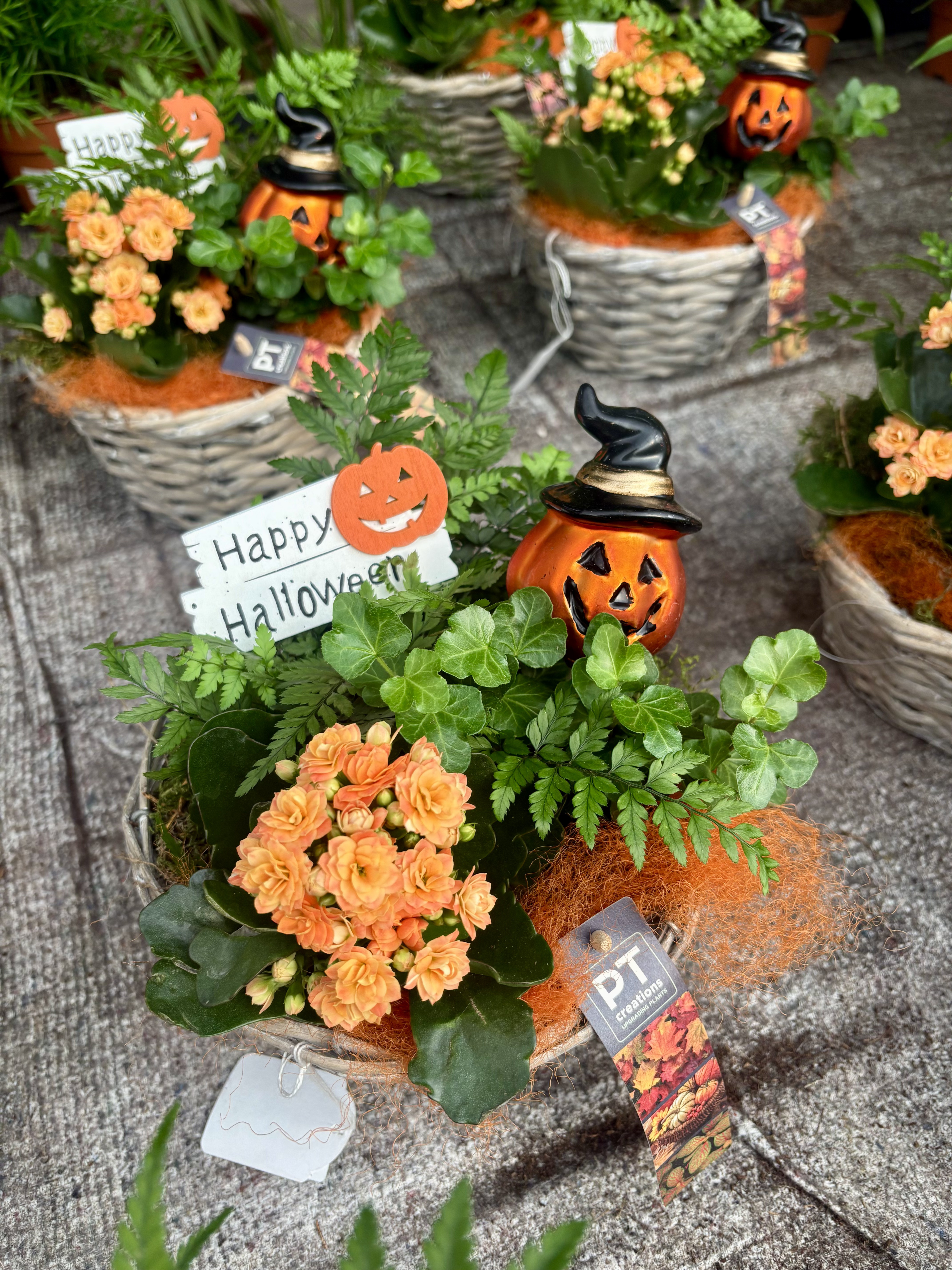 Decora, inspira’t i gaudeix de la nit més terrorífica de l’any