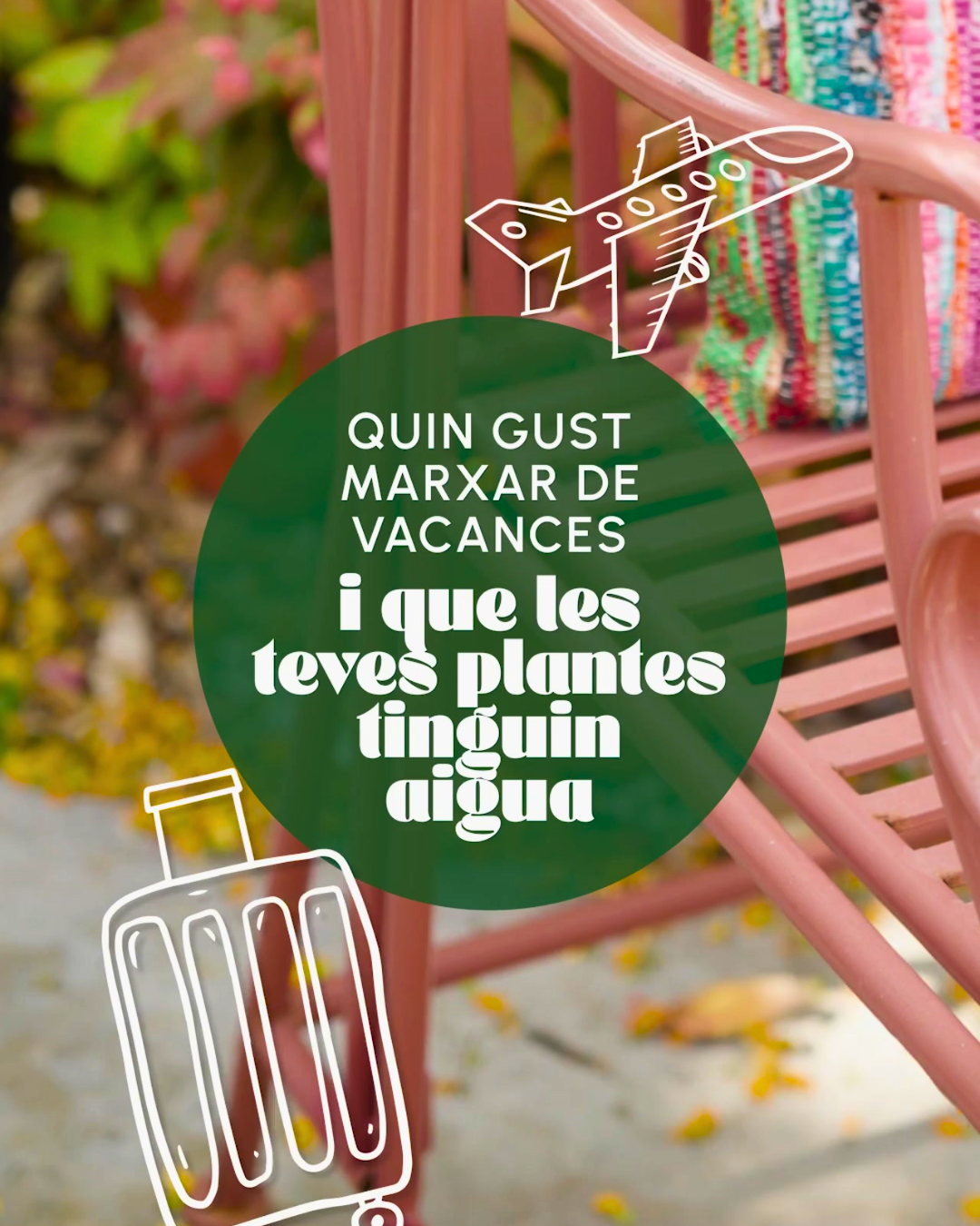 Vas de vacances i estàs preocupat per les teves plantes? Aquí tens la solució perfecta!