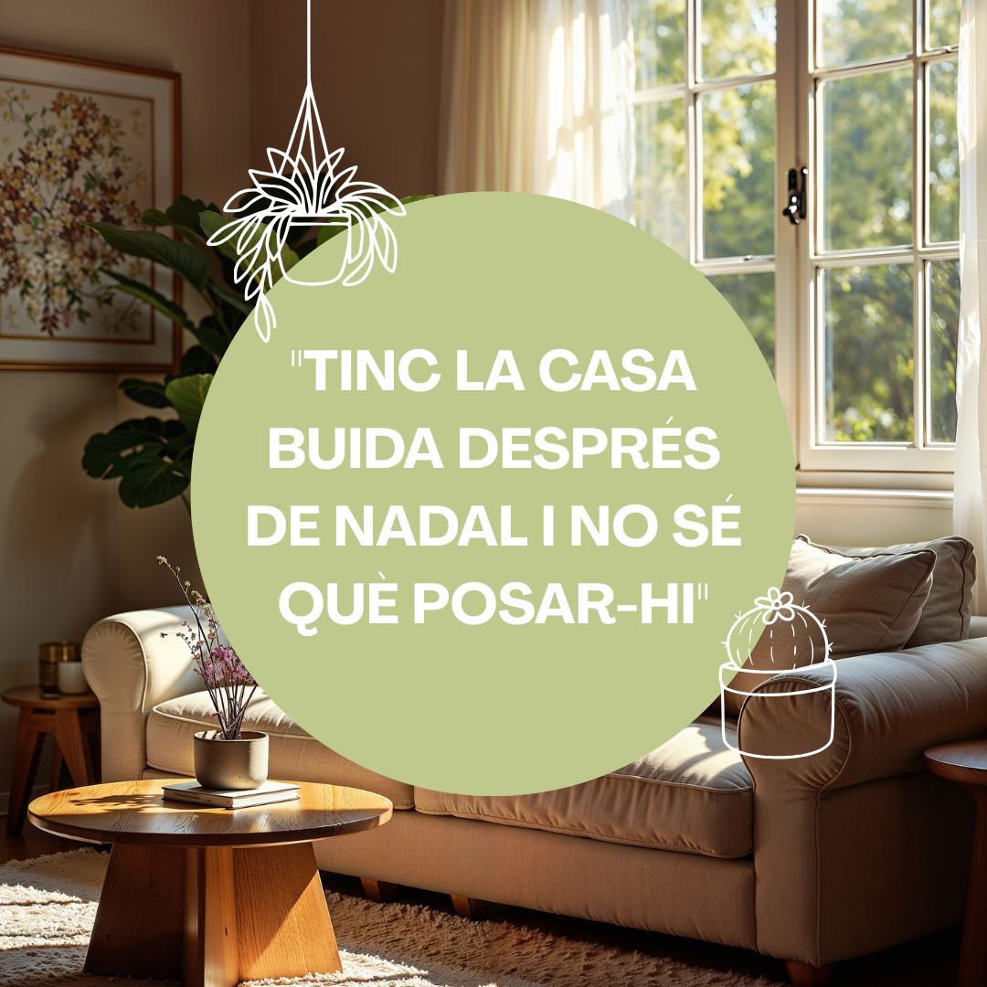 Llar Detox: 5 plantes purificadores per renovar la casa després de Nadal