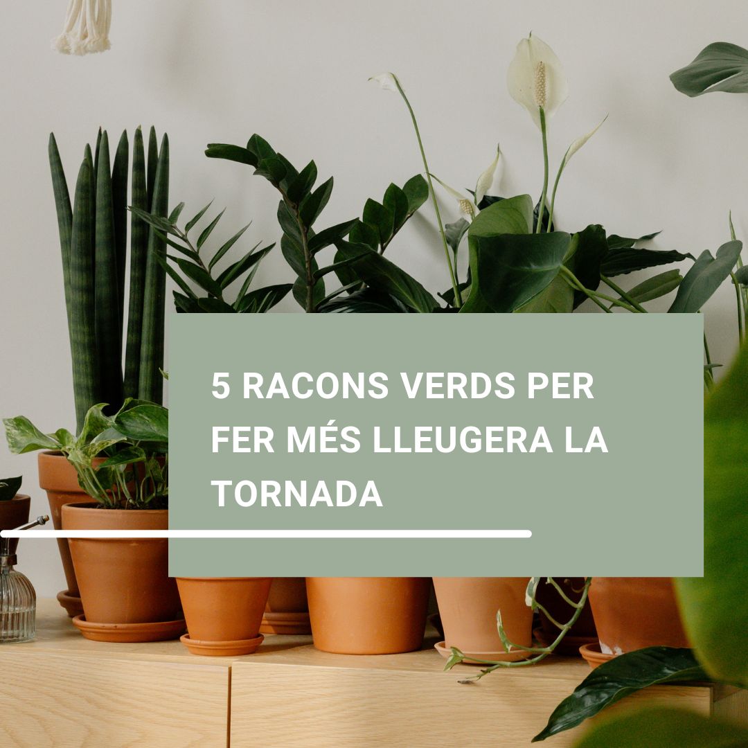 5 racons verds per fer més lleugera la tornada
