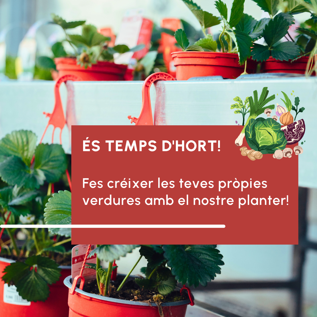 És temps d'hort!