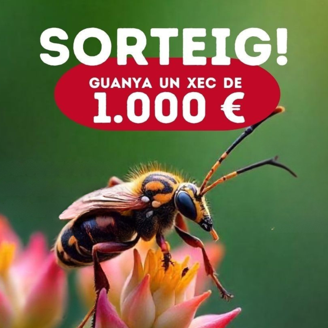 Torna el Sorteig Massó: Protegeix el teu jardí i emporta’t 1.000 €
