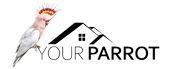 YOUR PARROT