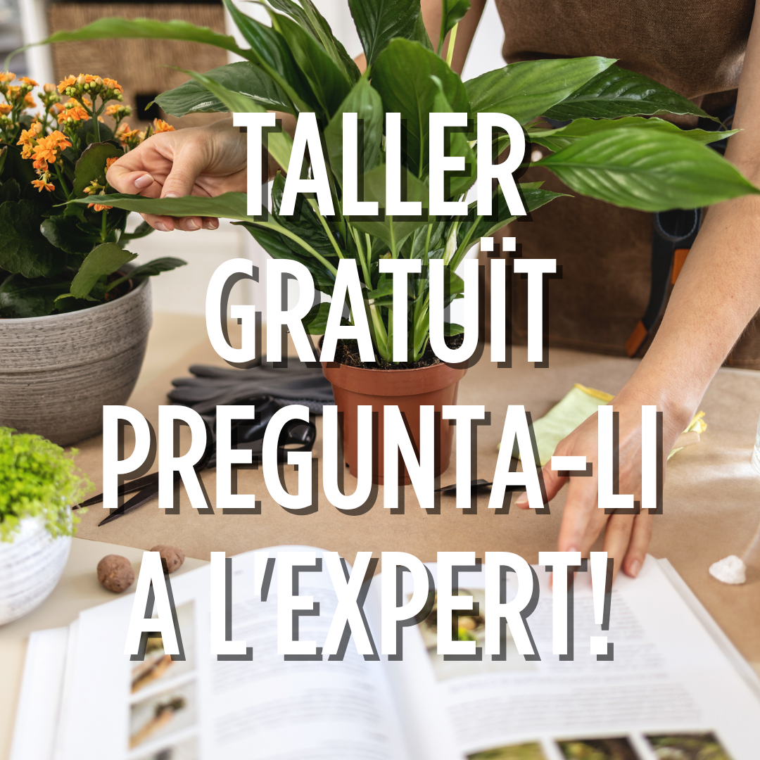 Pregunta-li a l'expert! Taller obert de dubtes amb Neudorff Pregunta-li a l'expert! Taller obert de dubtes amb Neudorff