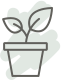 Plantes i flors