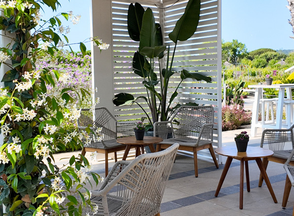 Jardín