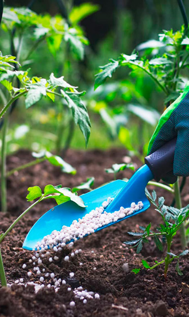 Accesorios para plantas