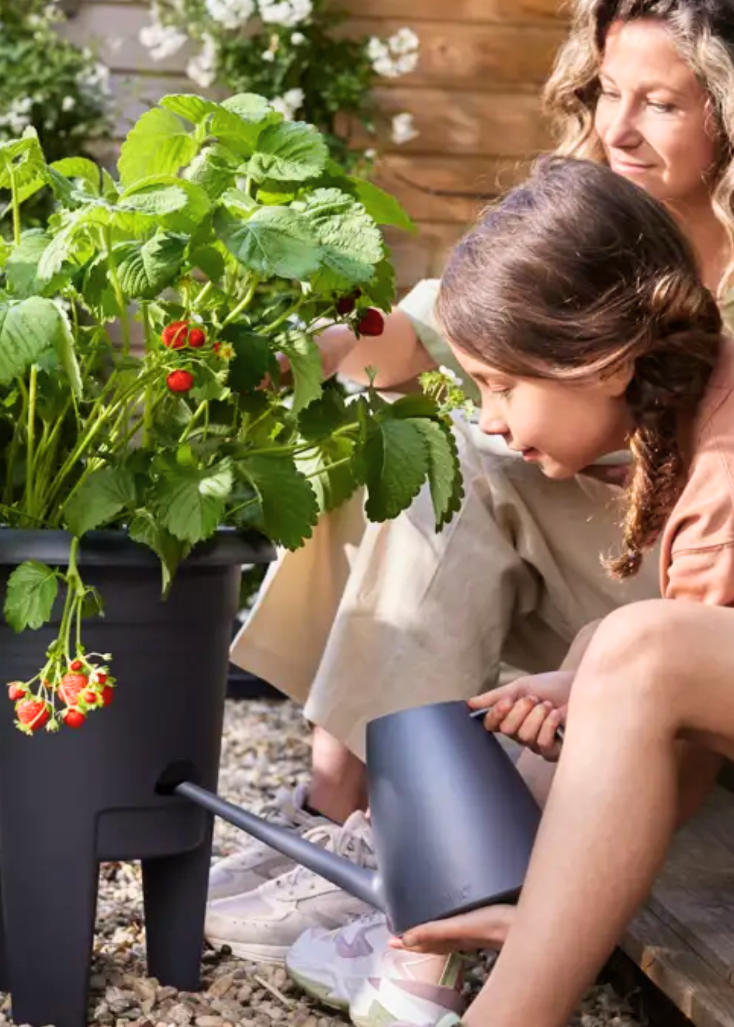 Accessoris per a plantes