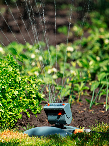 Accesorios para plantas