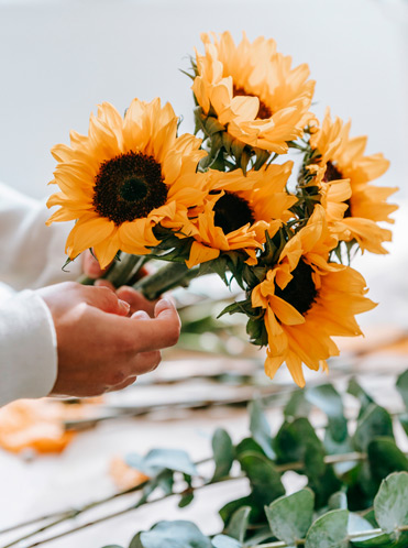 Floristería