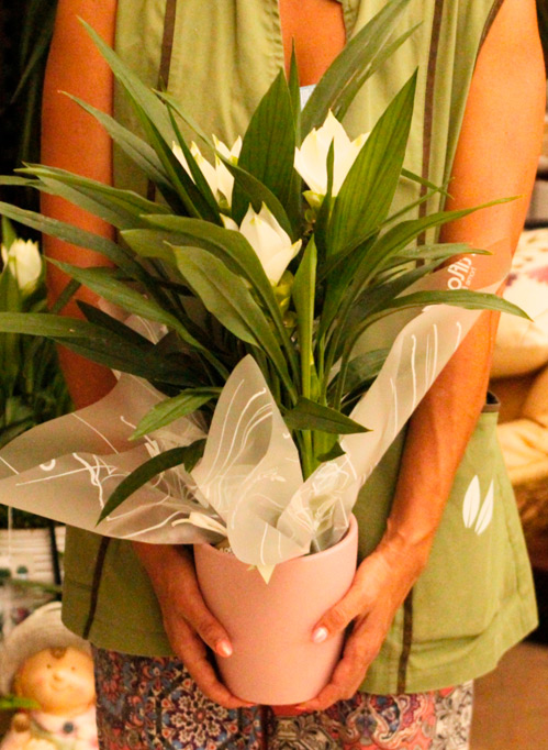 Floristería