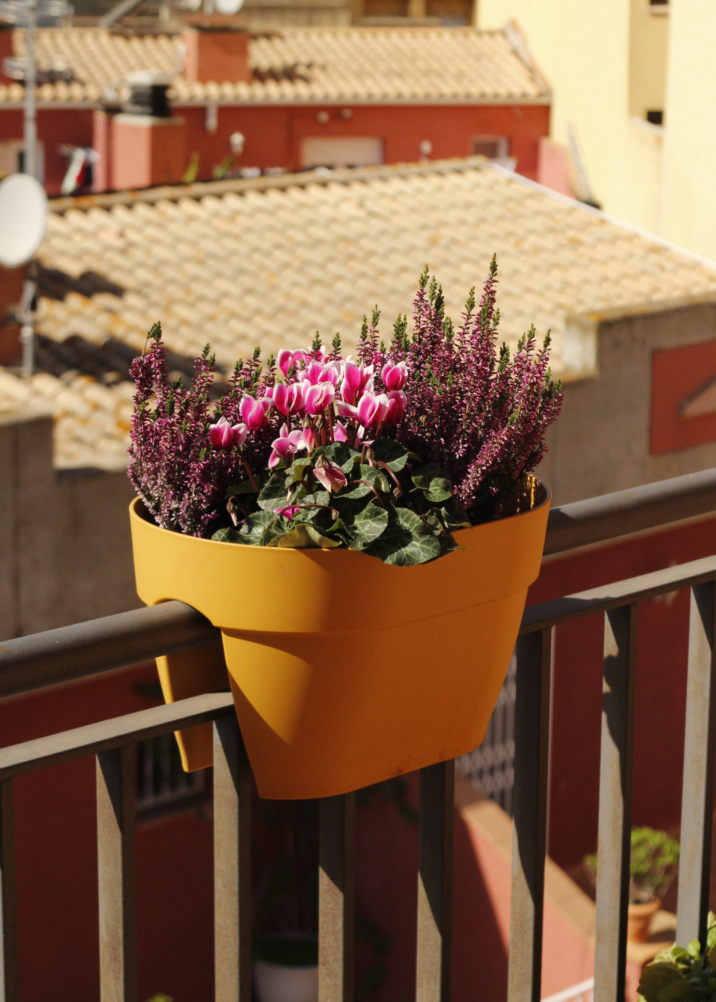 Accessoris per a plantes