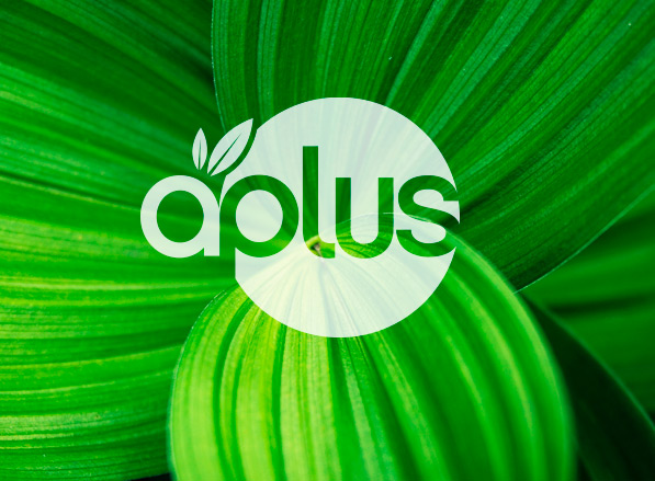Aplus, el programa de fidelización de Artiflora Home & Garden