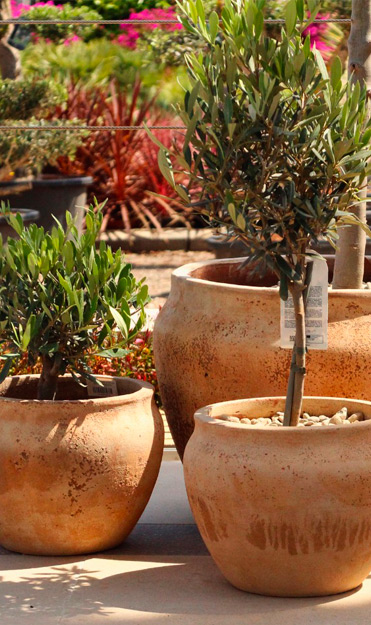 Artiflora, centro de jardinería, decoración y mascotas en Platja d'Aro