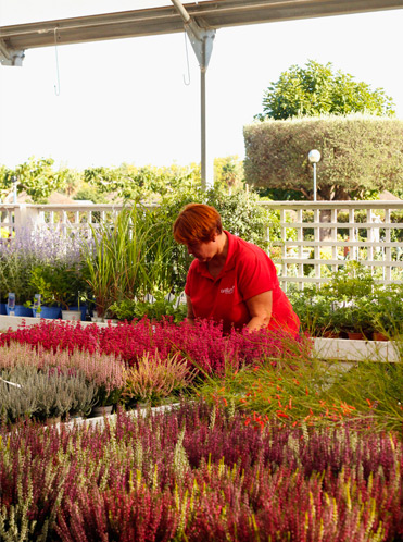 Artiflora, centro de jardinería, decoración y mascotas en Platja d'Aro