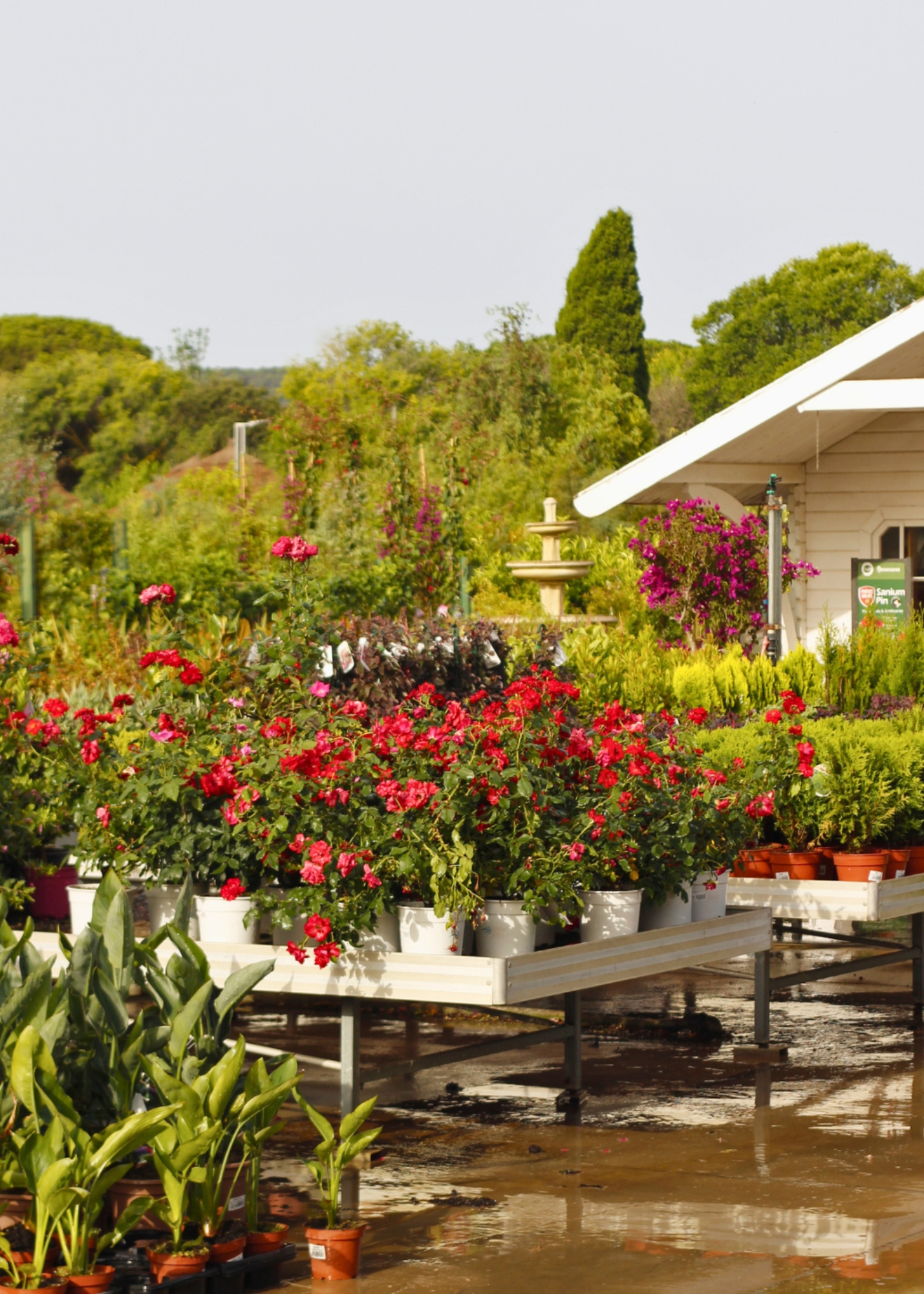 Artiflora, centre de jardineria, decoració i mascotes a Platja d’Aro