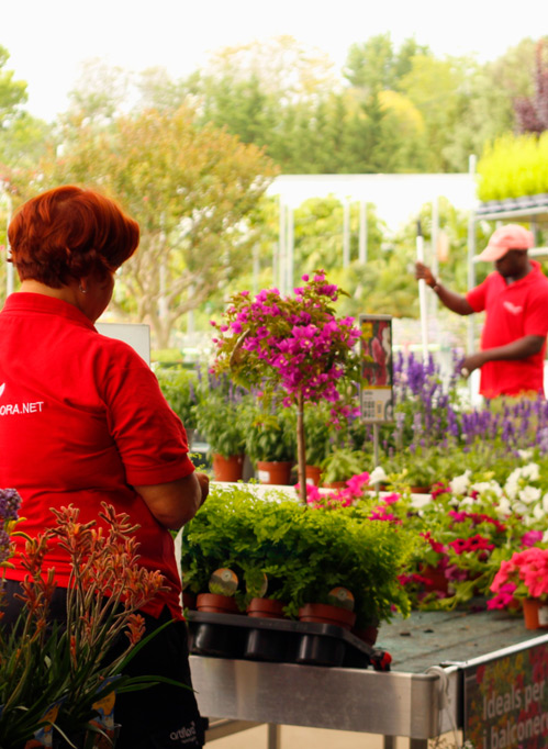Artiflora, centro de jardinería, decoración y mascotas en Platja d'Aro