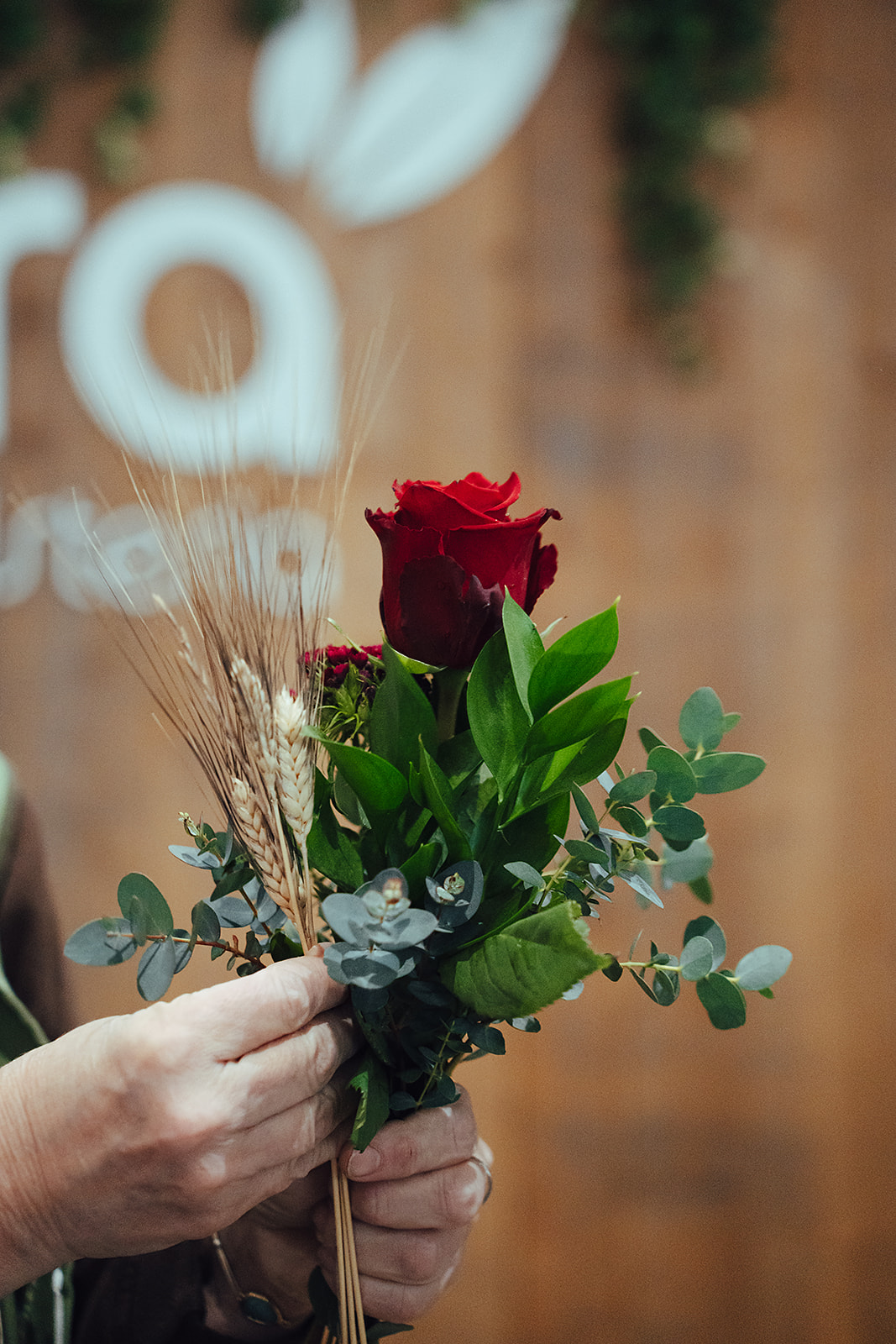 Artiflora, centre de jardineria, decoració i mascotes a Platja d’Aro