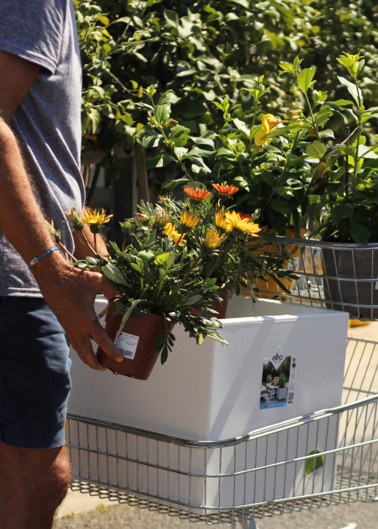 Artiflora, centre de jardineria, decoració i mascotes a Platja d’Aro