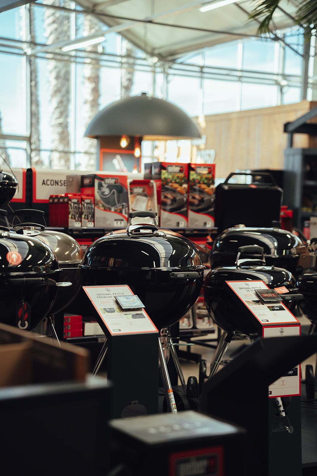 Artiflora, centre de jardineria, decoració i mascotes a Platja d’Aro