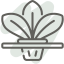 Promoción de productos para el cultivo ecológico en casa